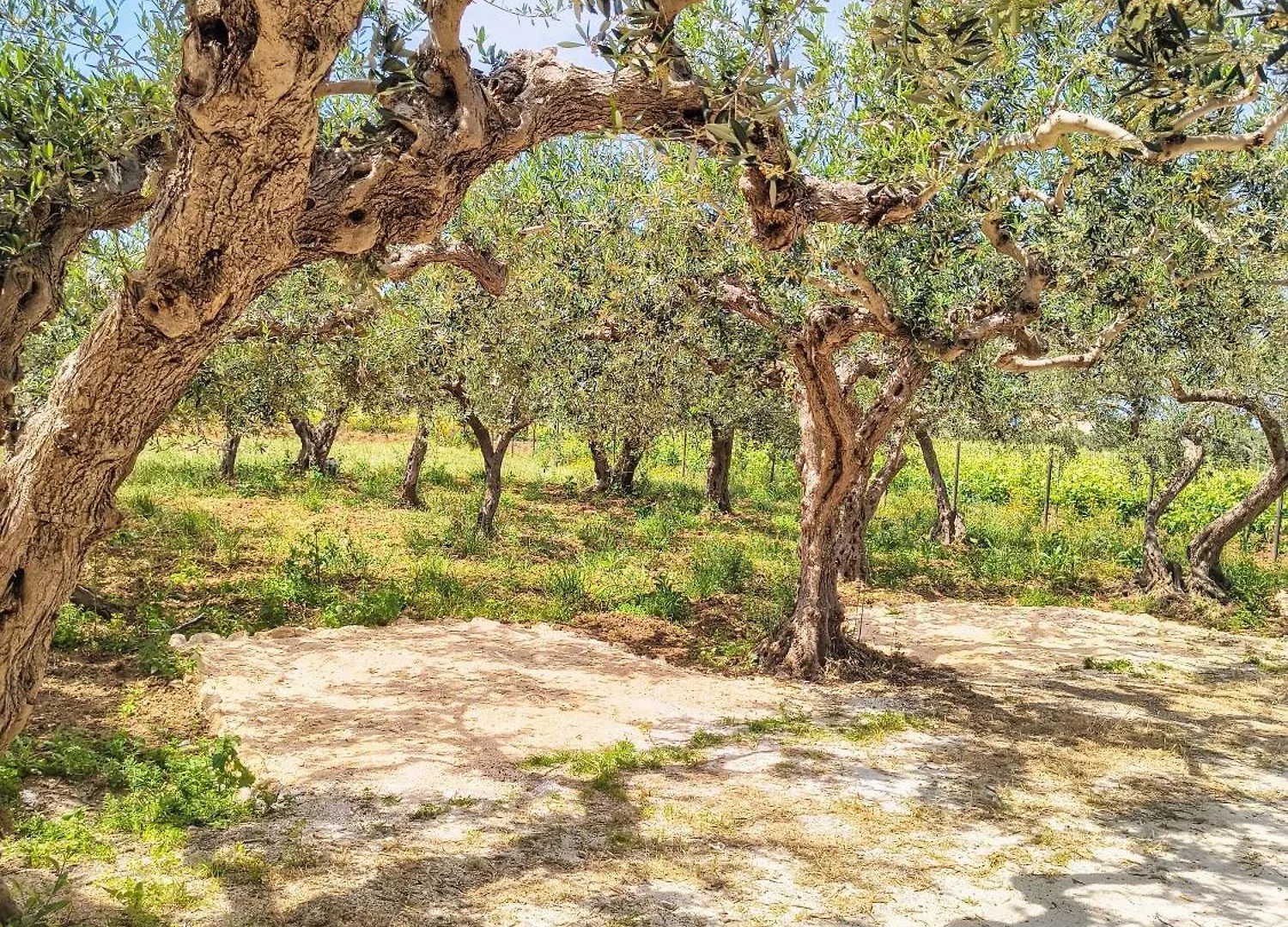 Appartement Appartamenti Fior Di Loto Trapani